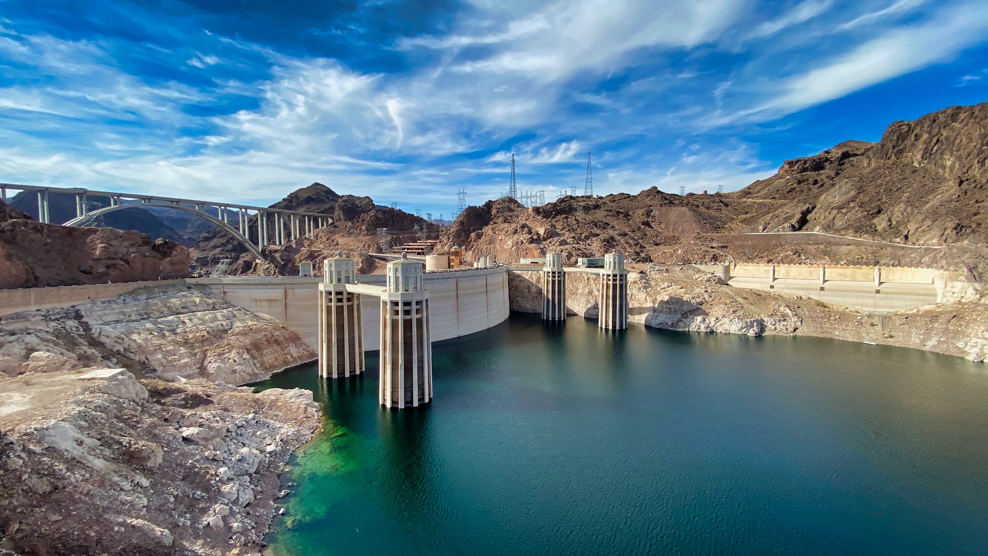 Lake Mead flowers